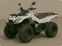 Imagem da categoria de Quadriciclos